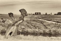 DSCF0258