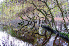 image-440