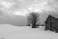 image-414
