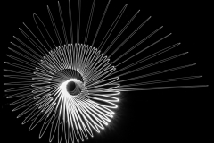 P4220021NSESHG