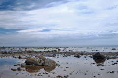 GFX00642