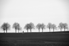 DSCF5824