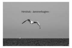 Unbenannt-54
