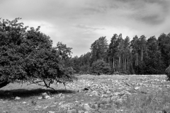 File097
