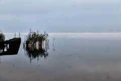 877–L1030012_850-1