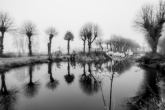 Hardy_Seestermuehe_4