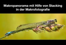 Makropanorama -Vortrag-