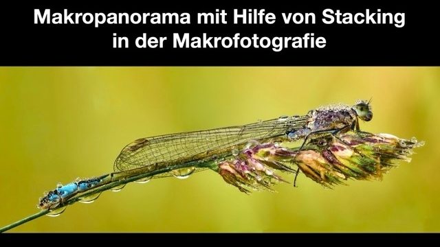 Makropanorama -Vortrag-
