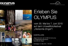 Austellung Zingst | Juni 2015