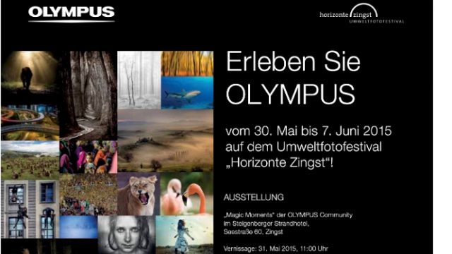 Austellung Zingst | Juni 2015