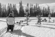 LAPPLAND