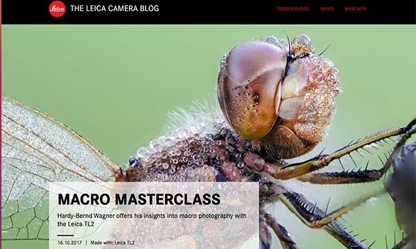 MACRO MASTERCLASS
